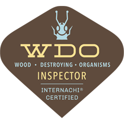 Termite WDO inspector